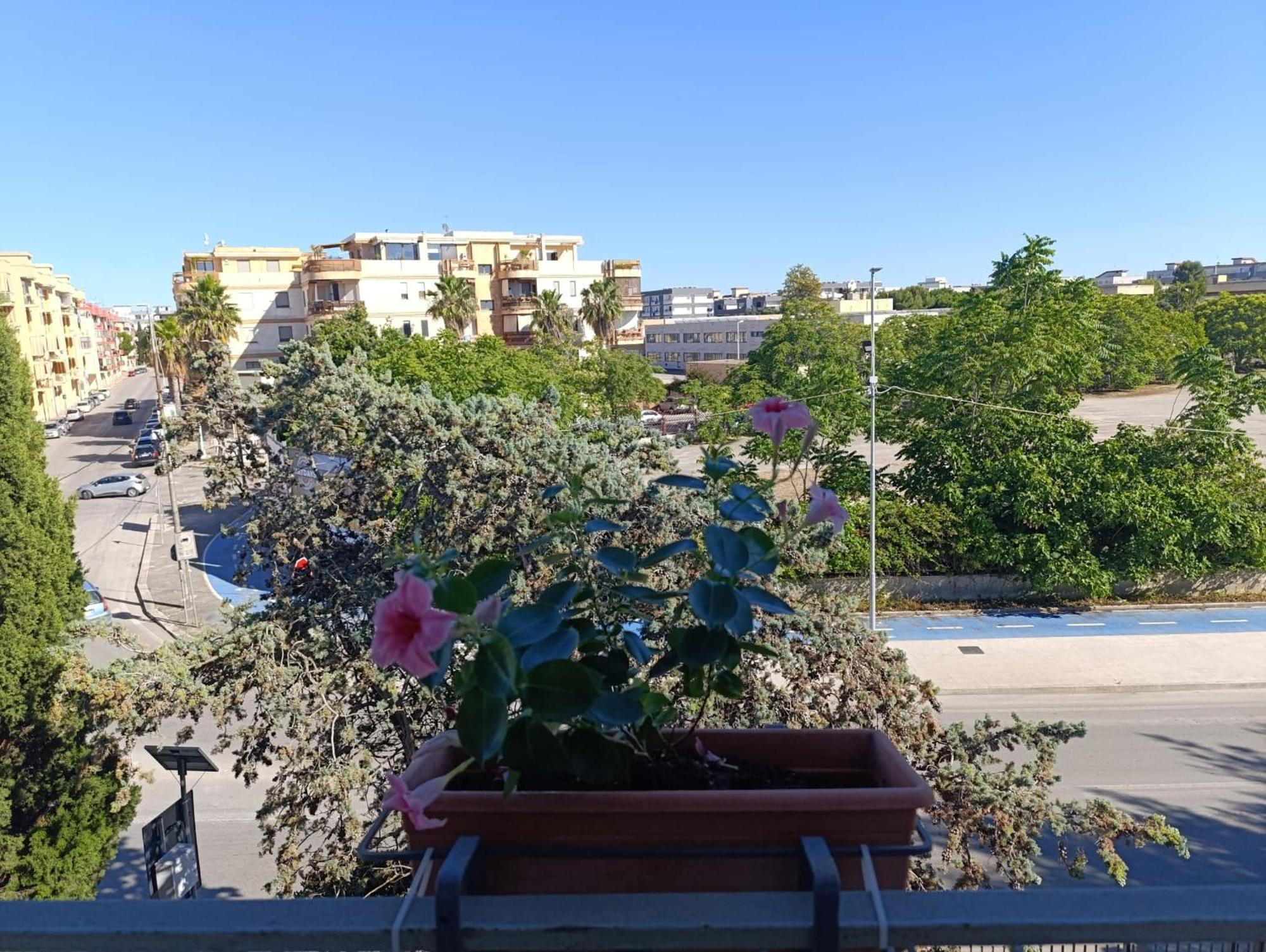 Le Rondini Apartment Trani Exterior foto